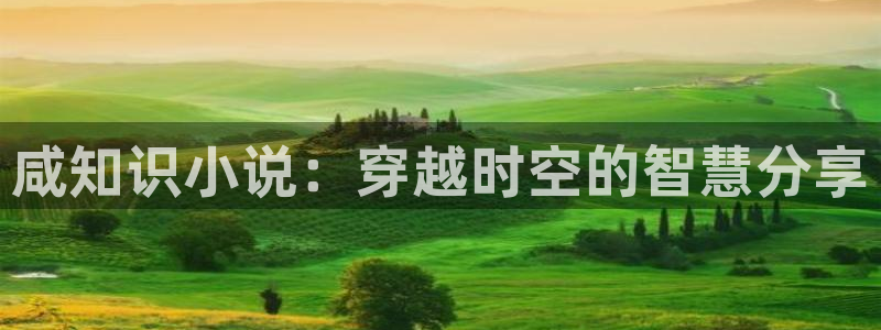 久久小说下载全本