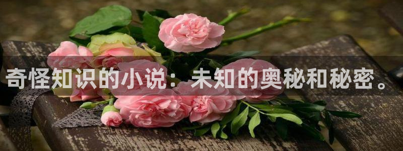 久久小说cc