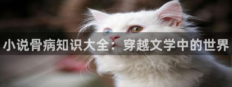 久久小说最新下载