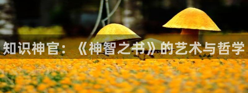 久久小说网,