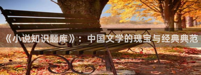 亚洲精品久久久久久小说