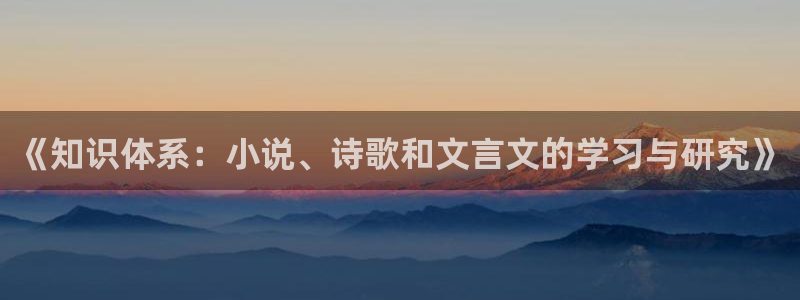 国内精品久久久久久久小说