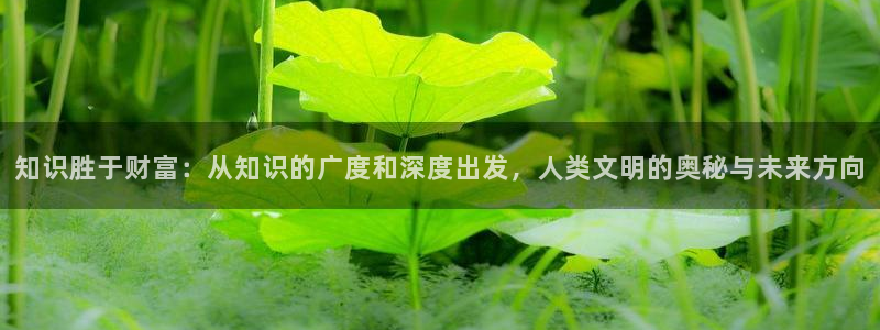 久久小说av