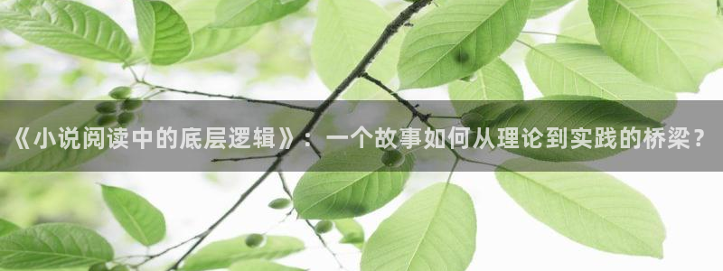 久久小说av