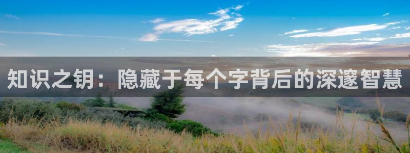 午夜久久小说