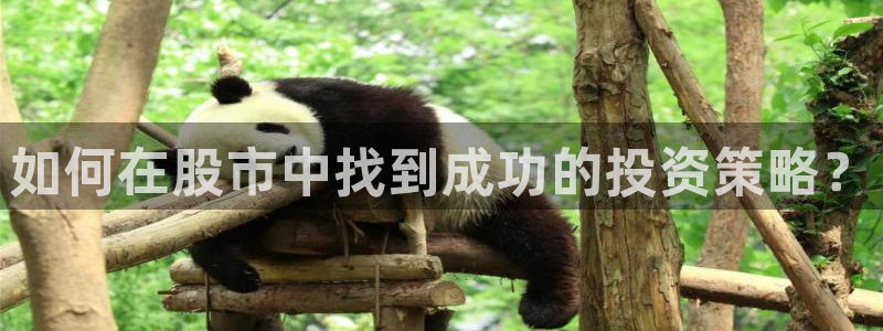 久久小说网手机版