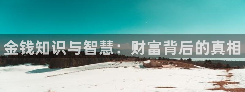 新久久小说网下载网：金钱知识与智慧：财富背后的真相