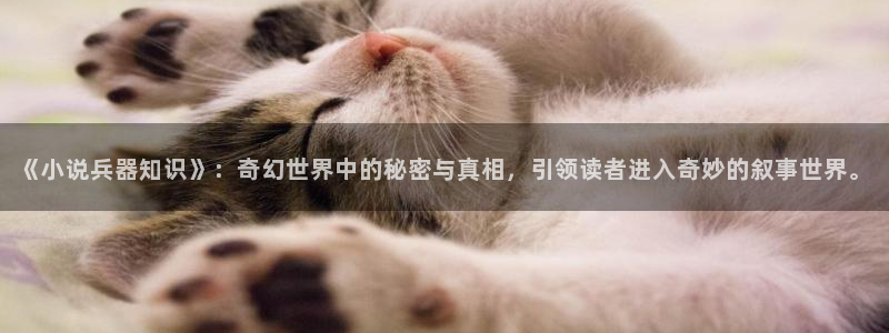 久久小说免费下载全集：《小说兵器知识》：奇幻世界中的秘密与真相，引领读者进入奇妙的叙事世界。
