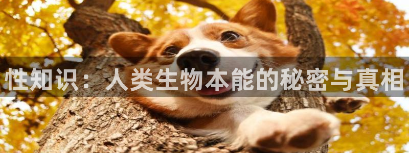 成人综合激情久久小说：性知识：人类生物本能的秘密与真相